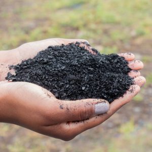 BIOCHAR ENRICHI- Engrais naturel et piège à carbone